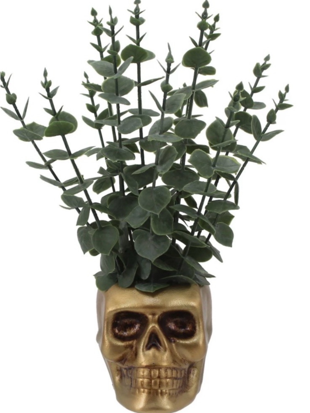 Celebrate Together™ Skull Potted Eucalyptus Botanical Table Decor new